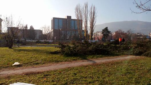 Скопје ќе биде загадено се` додека не го врати урбаното зеленило